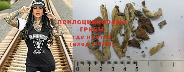 дживик Алзамай
