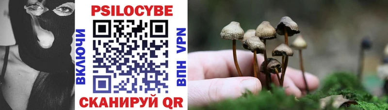 hydra ссылки  Нижний Новгород  Галлюциногенные грибы Magic Shrooms 