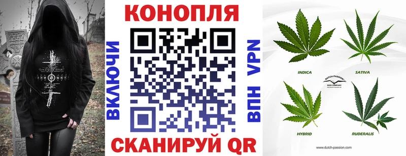 закладки  Нижний Новгород  Каннабис планчик 